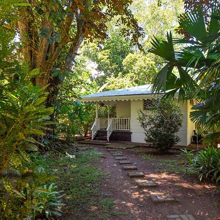 Playa Grande Lodge & Tree House 까위따 외부 사진