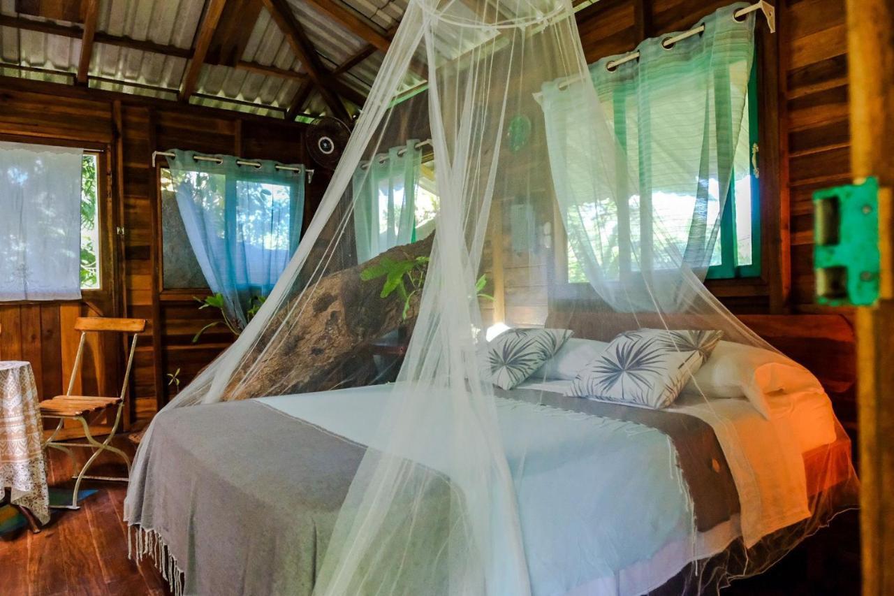 Playa Grande Lodge & Tree House 까위따 외부 사진