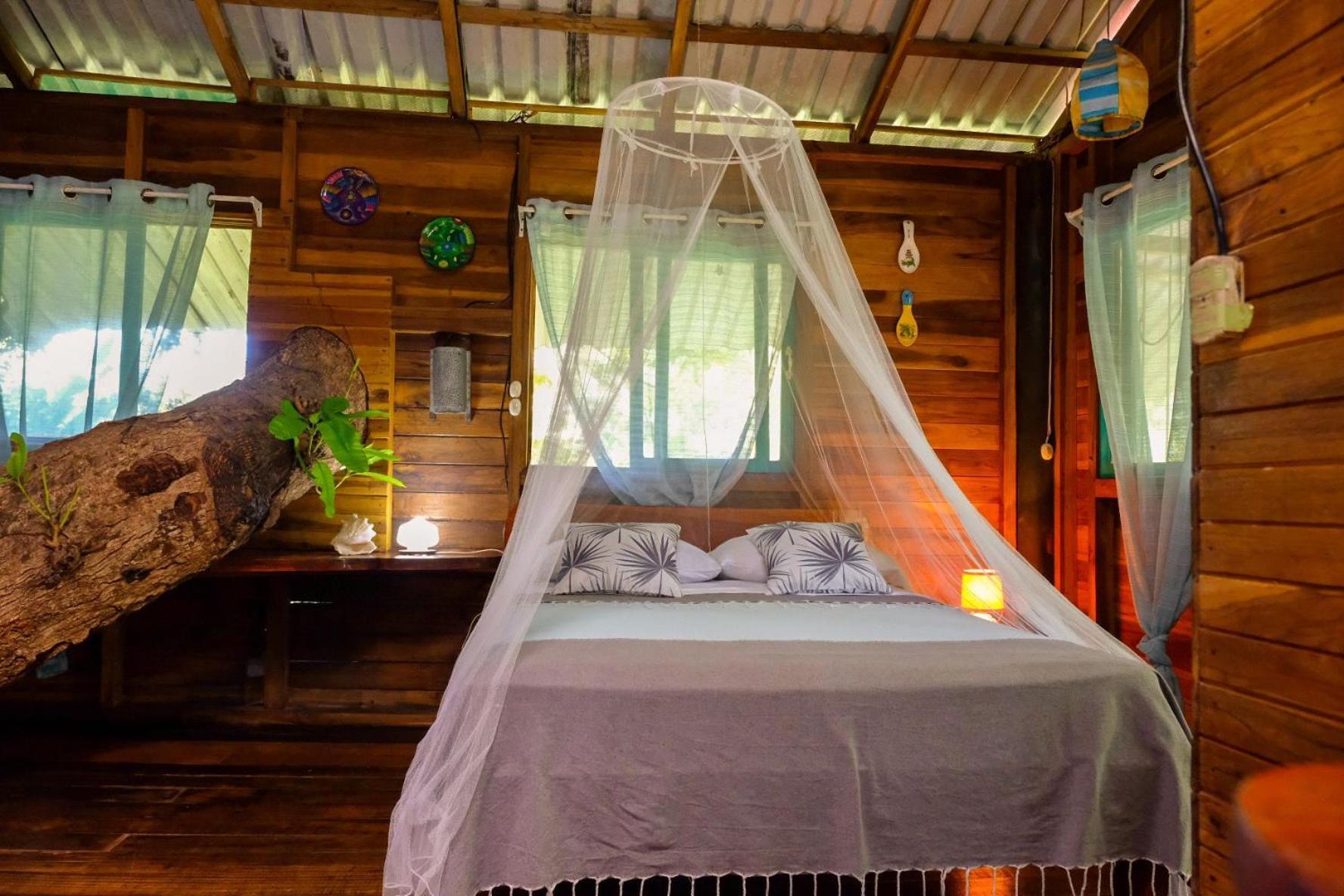 Playa Grande Lodge & Tree House 까위따 외부 사진
