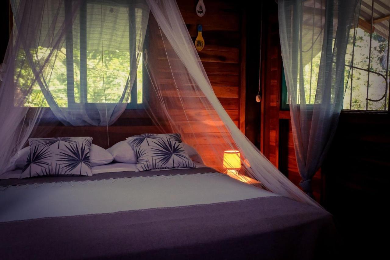 Playa Grande Lodge & Tree House 까위따 외부 사진