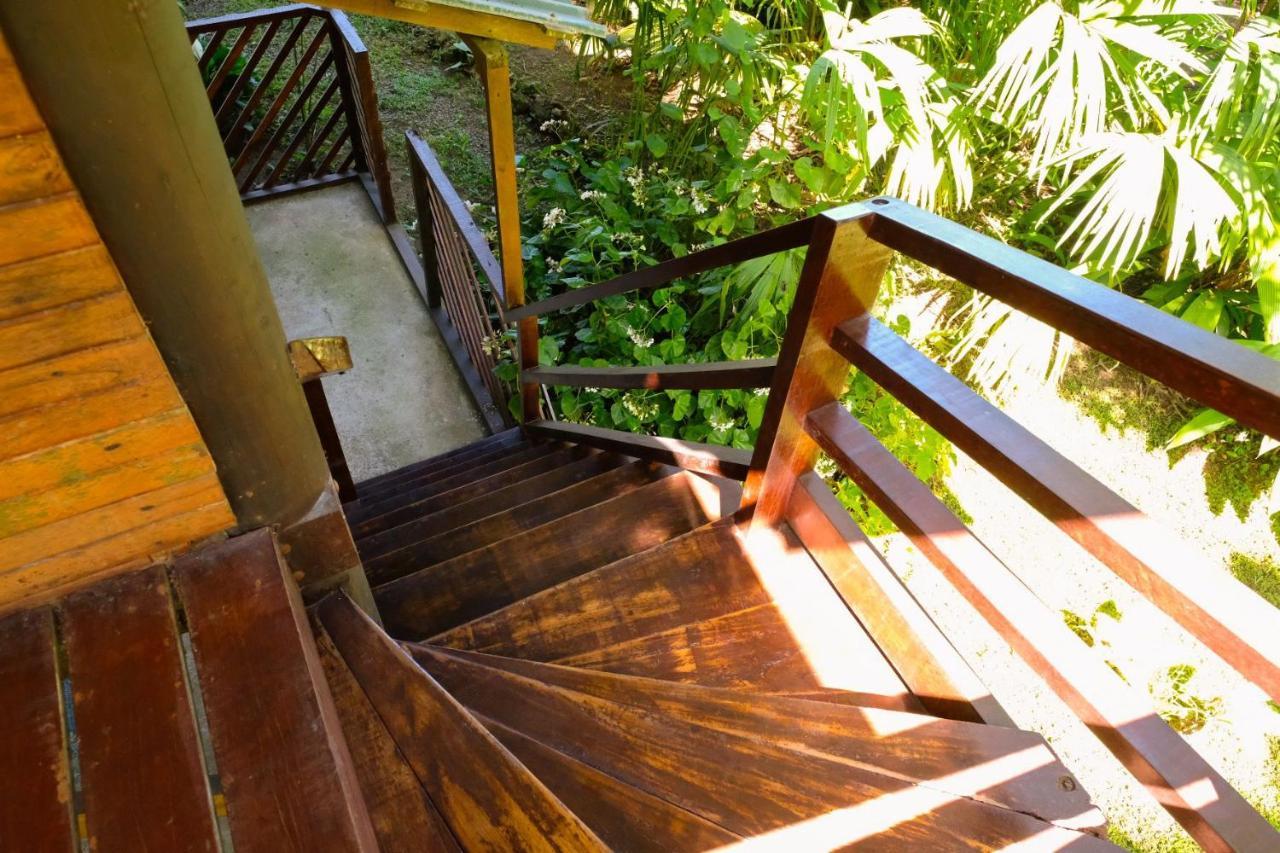 Playa Grande Lodge & Tree House 까위따 외부 사진