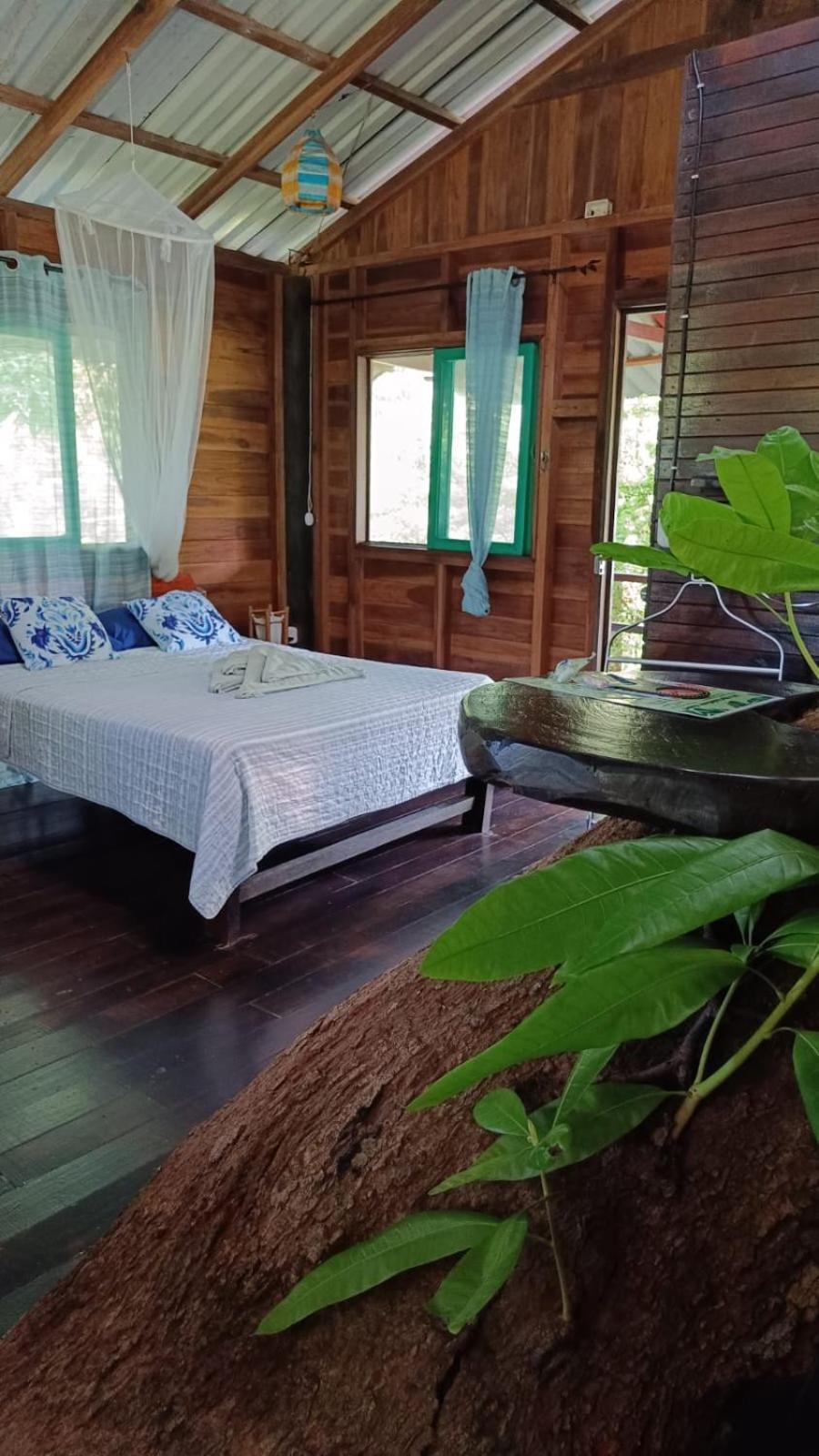 Playa Grande Lodge & Tree House 까위따 외부 사진