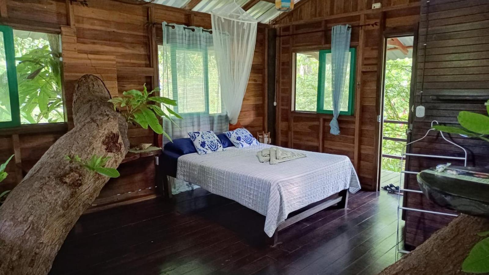 Playa Grande Lodge & Tree House 까위따 외부 사진