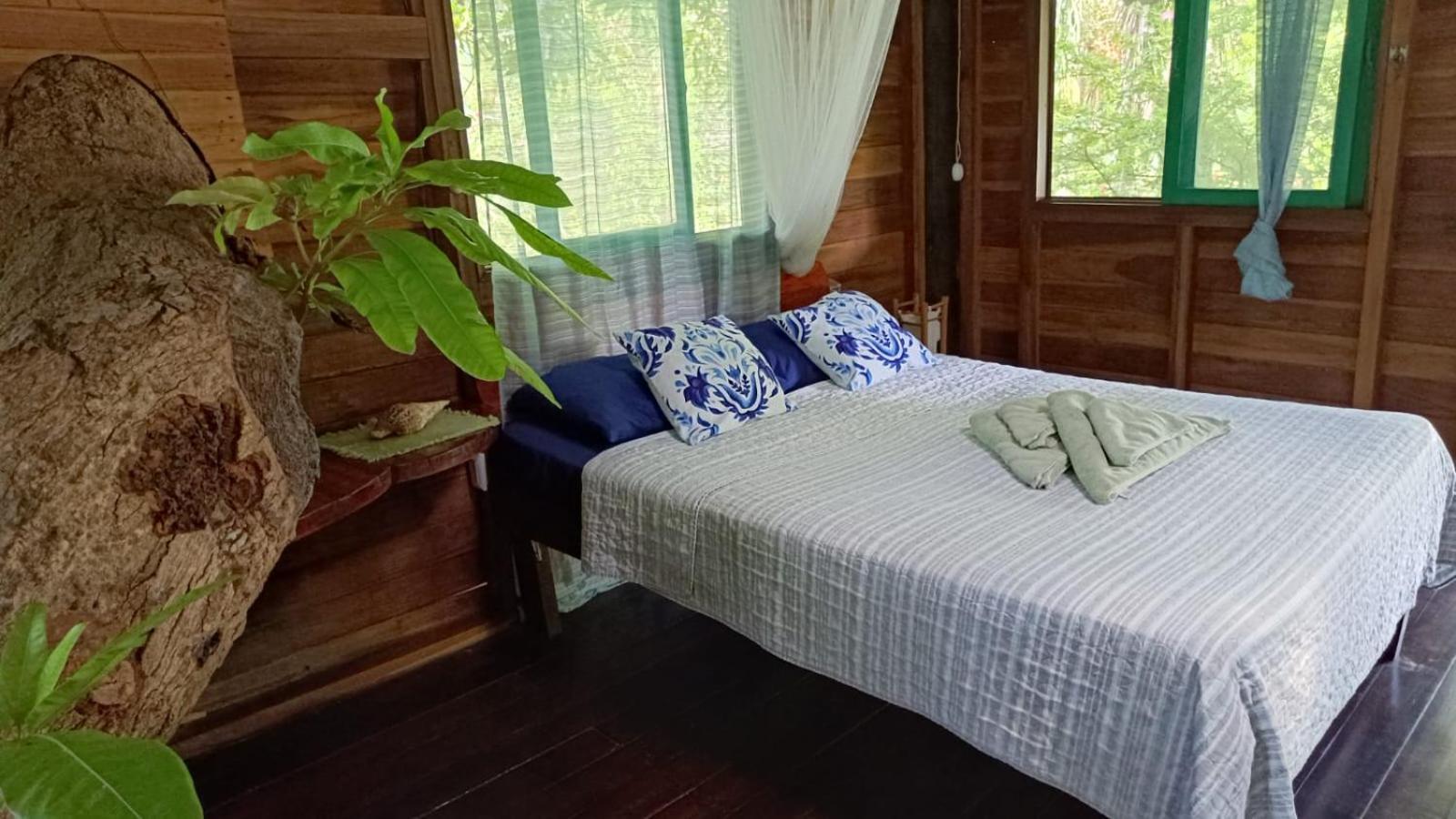 Playa Grande Lodge & Tree House 까위따 외부 사진