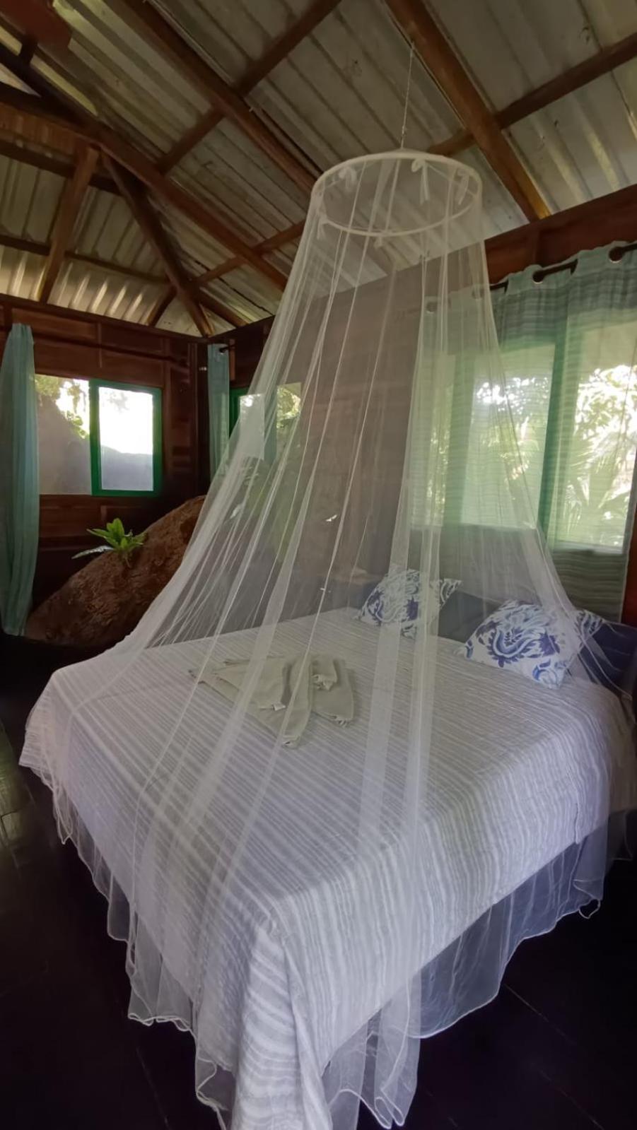 Playa Grande Lodge & Tree House 까위따 외부 사진