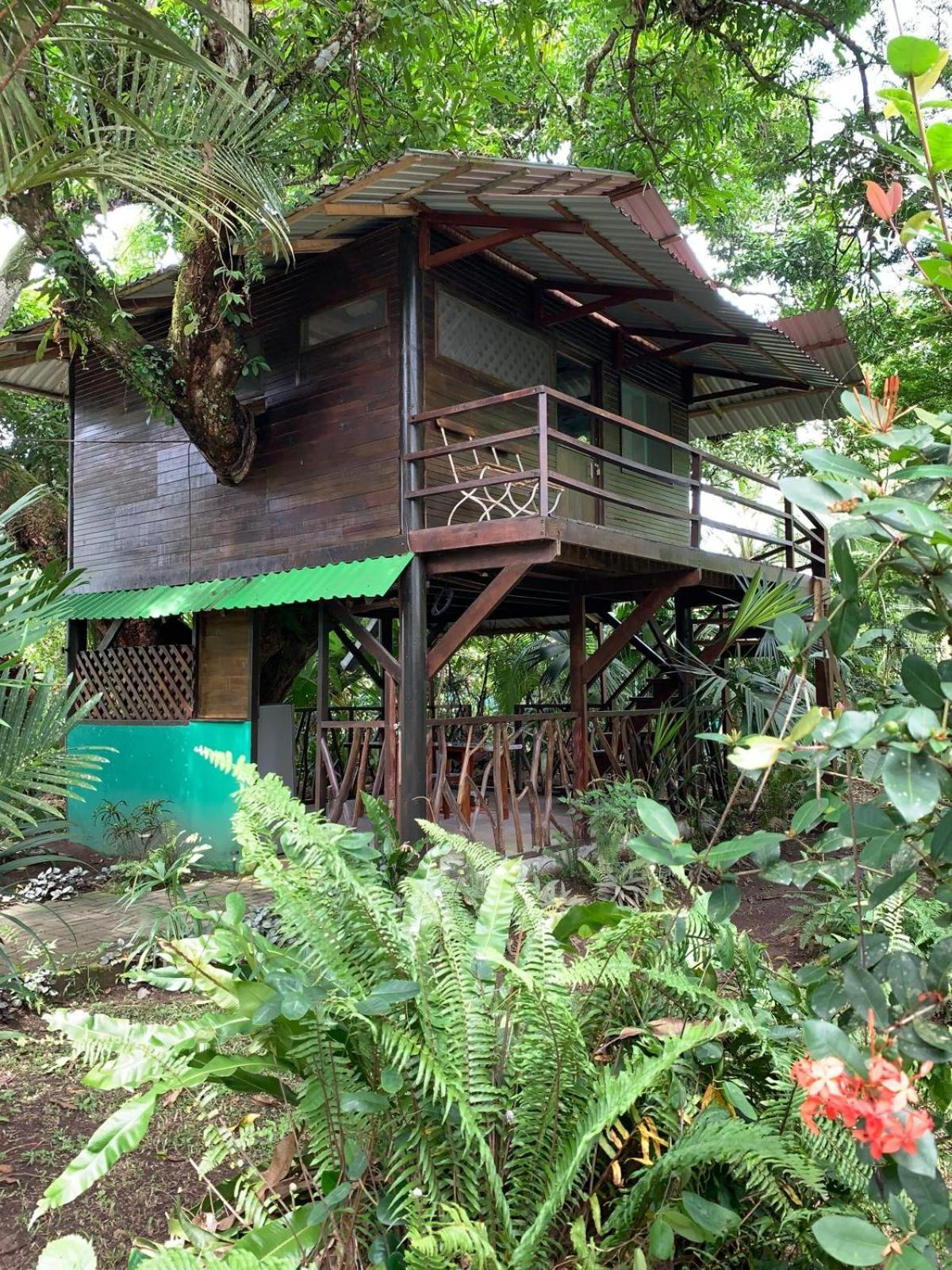 Playa Grande Lodge & Tree House 까위따 외부 사진
