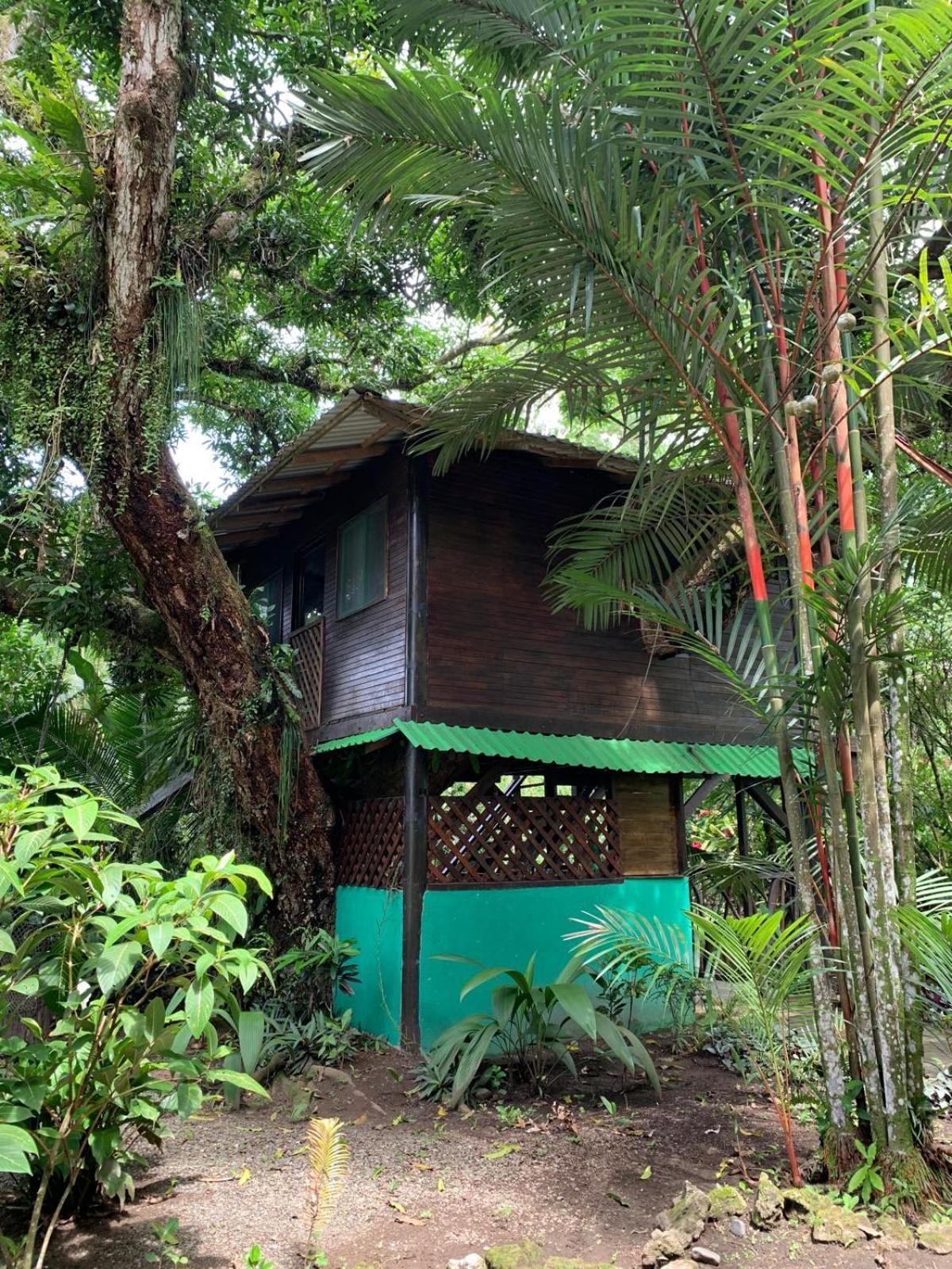 Playa Grande Lodge & Tree House 까위따 외부 사진