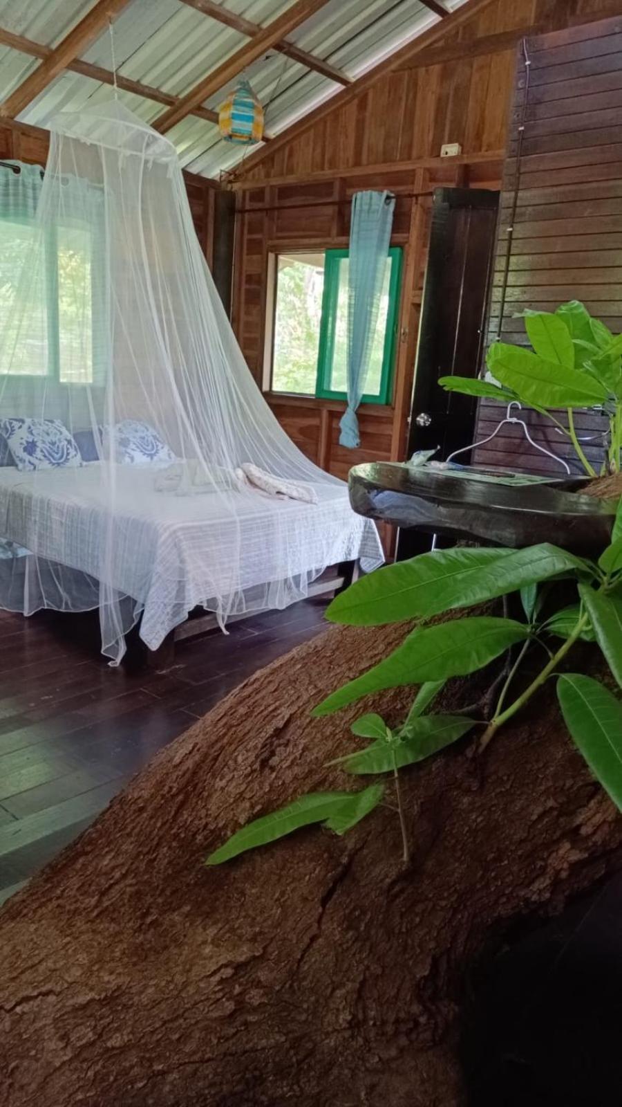 Playa Grande Lodge & Tree House 까위따 외부 사진