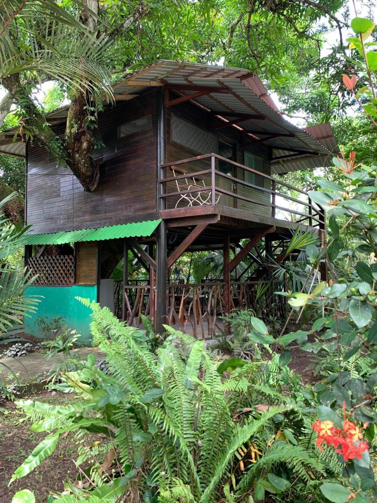 Playa Grande Lodge & Tree House 까위따 외부 사진