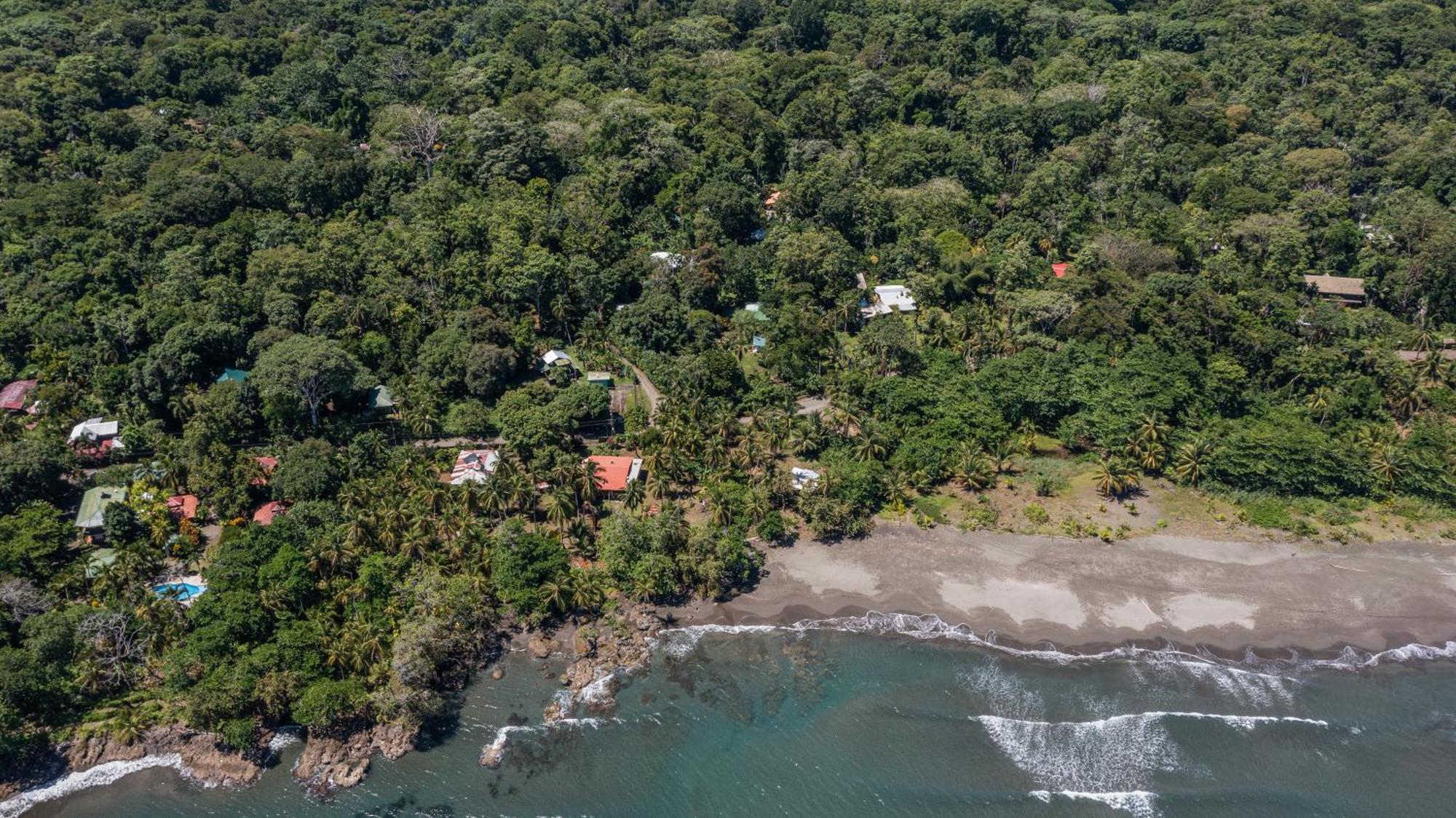 Playa Grande Lodge & Tree House 까위따 외부 사진
