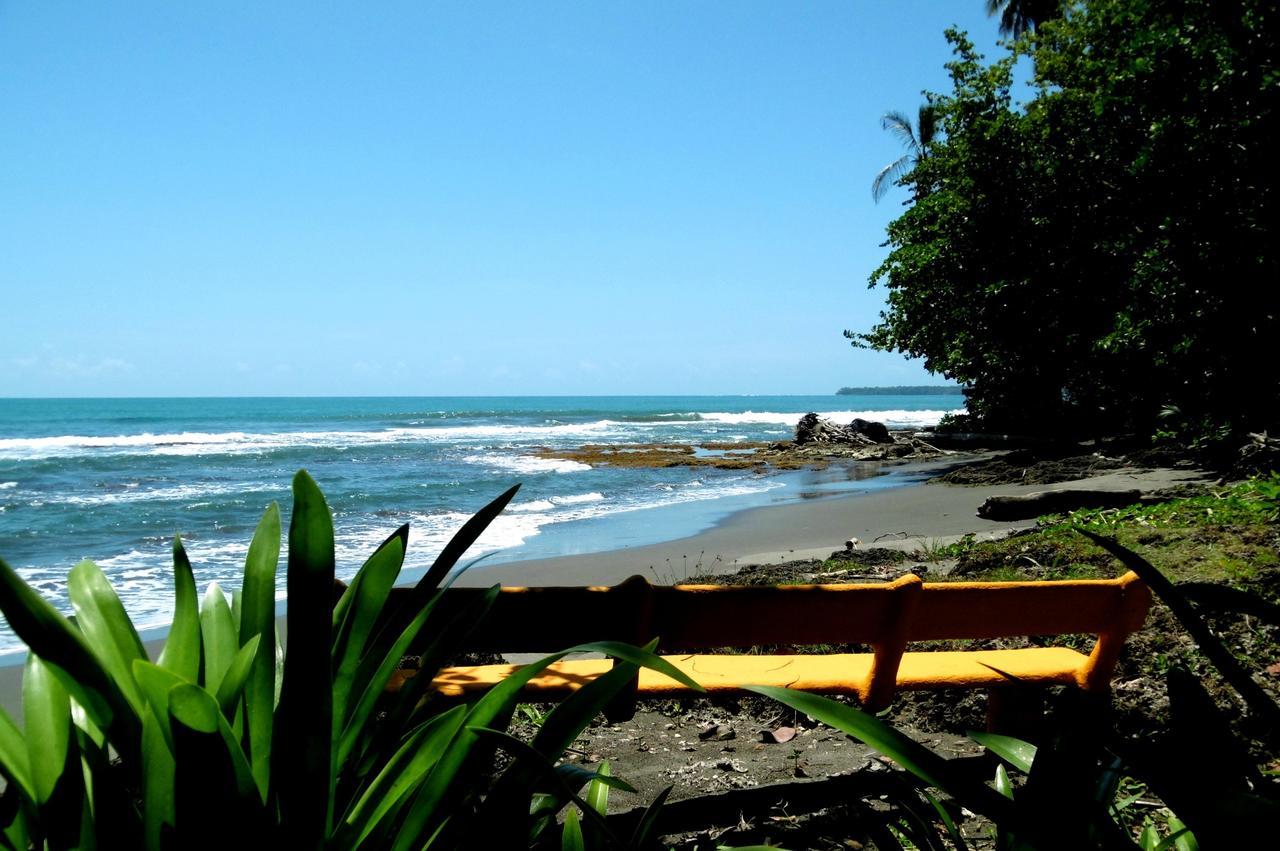 Playa Grande Lodge & Tree House 까위따 외부 사진